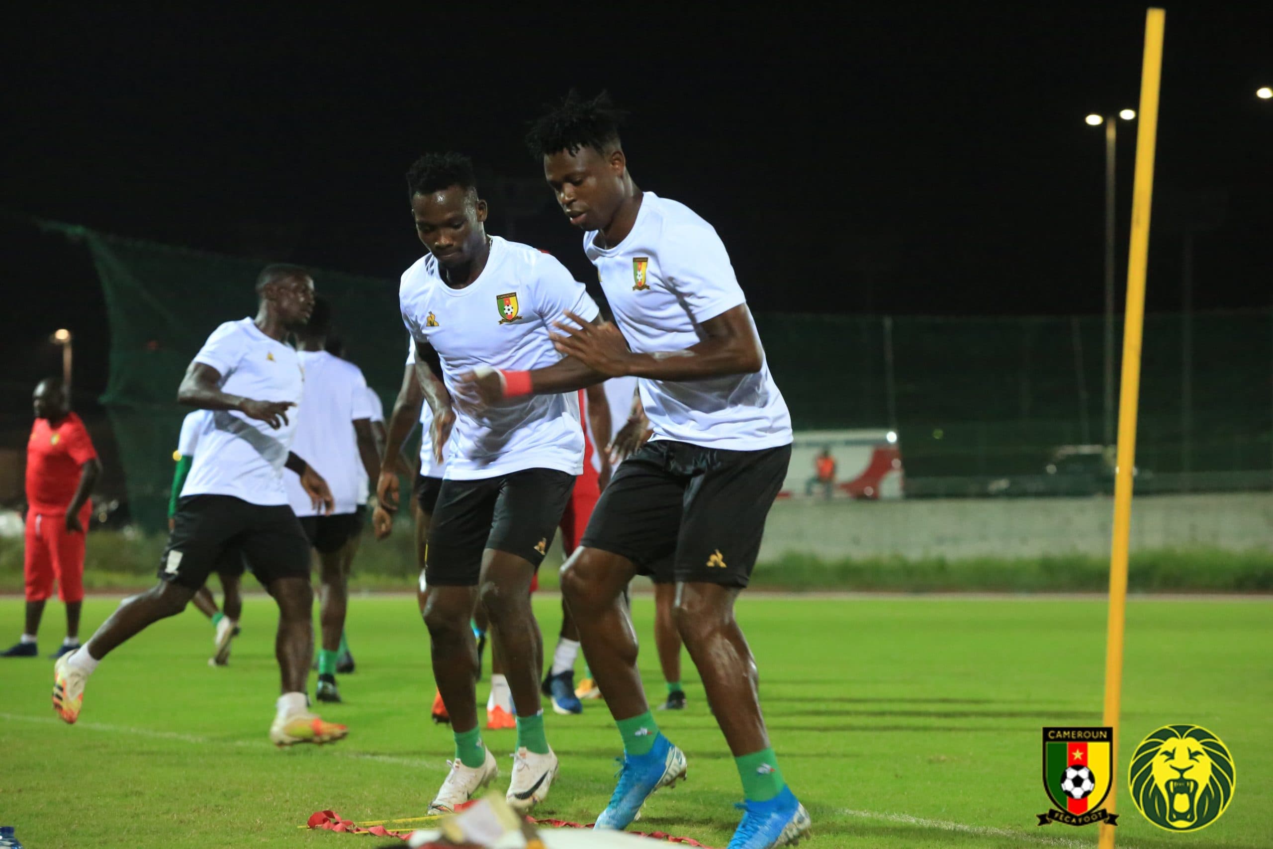 CHAN 2020 Quarter-finals: Lions walk with nature